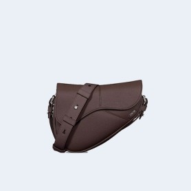 디올 Saddle 미니백
