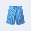 루이비통 스트라이프 비치 쇼츠